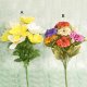 Everyday Bush, A: TA434/1J
B: TA434/5
