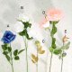 Rose Stem