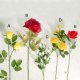 Rose Stem, A: TA185/5
B: TA328/5Q
C: 610/37
D: 89801
E: 45/12A