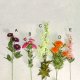 Natural Stem