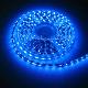 5050-SMD-Flexible-LED-Strip-PL
