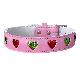 Pet Collar