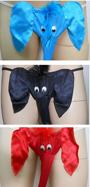 Animal Brief - Elephants