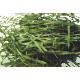 Wheat grass powder, maxdragon-014