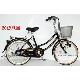 Senxiang Bike, Bicycle, Cycle, City Bike, City Bicycle, City Cycle Sxc001 20 inches Phenix, SXC001 20" Phenix