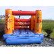 Inflatable Bounce/ Inflatable Jumper