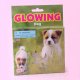 Dog*GID wall stick, G2039