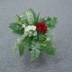 Sell 35 CM PROTEA BUSH X 9