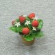 Sell 12 CM STAWBERRY W/POT