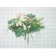 Sell ROSE/FREESIA BUSH X 19