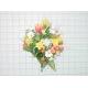 Sell TULIP CROCUS/DAISY BUSH X 20