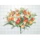 Sell POM POM/DAISY BUSH X 24