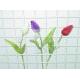 TULIP W/2 LVS