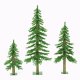 Sell ALPINE TREE