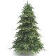 PE Christmas Tree, F08675H