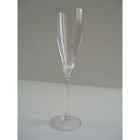 Plastic Champagne Glass