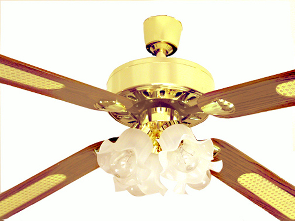 What Kind Of Spinner Is This Vintage Ceiling Fans Com Forums