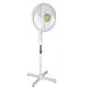 Oscillating Fan