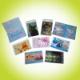 Plastic Card Holder