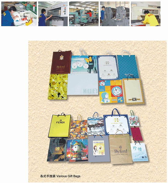 Various Gift Bags