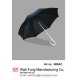 Stick Umbrella