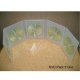 DVD Multi Pack of 5