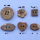 Coconut Button, WEB-08, 09, 10, 11, 12, 13