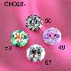 Polymer Clay Button