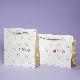 Paper Bag 02