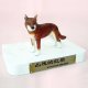 Endangered Animals - The Red Wolf