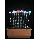 Changing Colour LED Star Garden Light, KS-A038