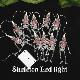 Skeleton Led Light