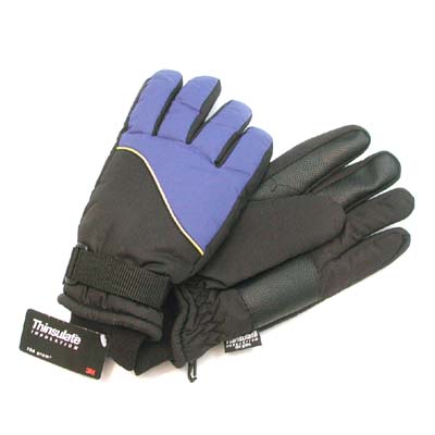Ski Glove