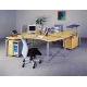 Flexible Working Desk