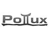Pollux Enterprise Limited