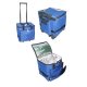 Cooler Bag