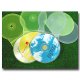 CD Box