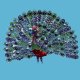 GARMENT ACCESSORIES--PEACOCK