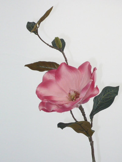 M.p. Magnolia Spray