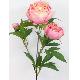 PEONY SPRAY X 3, SL-0012S