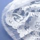 Allover Lace Fabric, R364