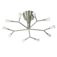 Ceiling Light