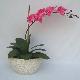 Floral Decoration