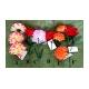 Artificial Polyester Flowers, A.423-3-97, B.592-1-98, C.451-1-97, 
D.449-1-97, E.473-3-98, F.604-1-98