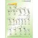 Alloy Snap Hook Buckles