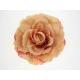Fashion Accessories, TS- 40215