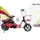 Electric Bicycle