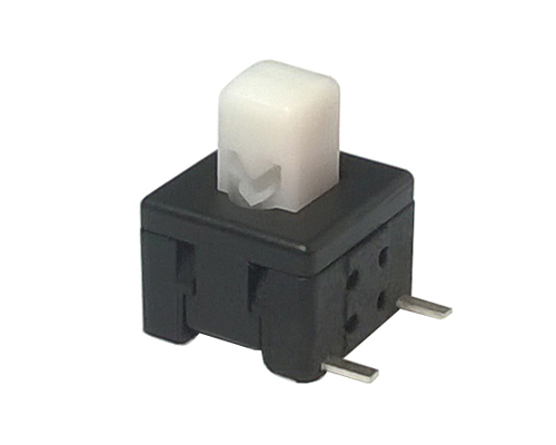 Push Switch
