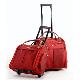 Trolley Bag, 2011 new trolley <B>bags</B> set