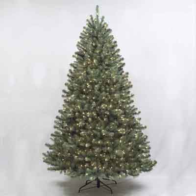 Monroe blue Promo Fir 7.5' ltd Tree